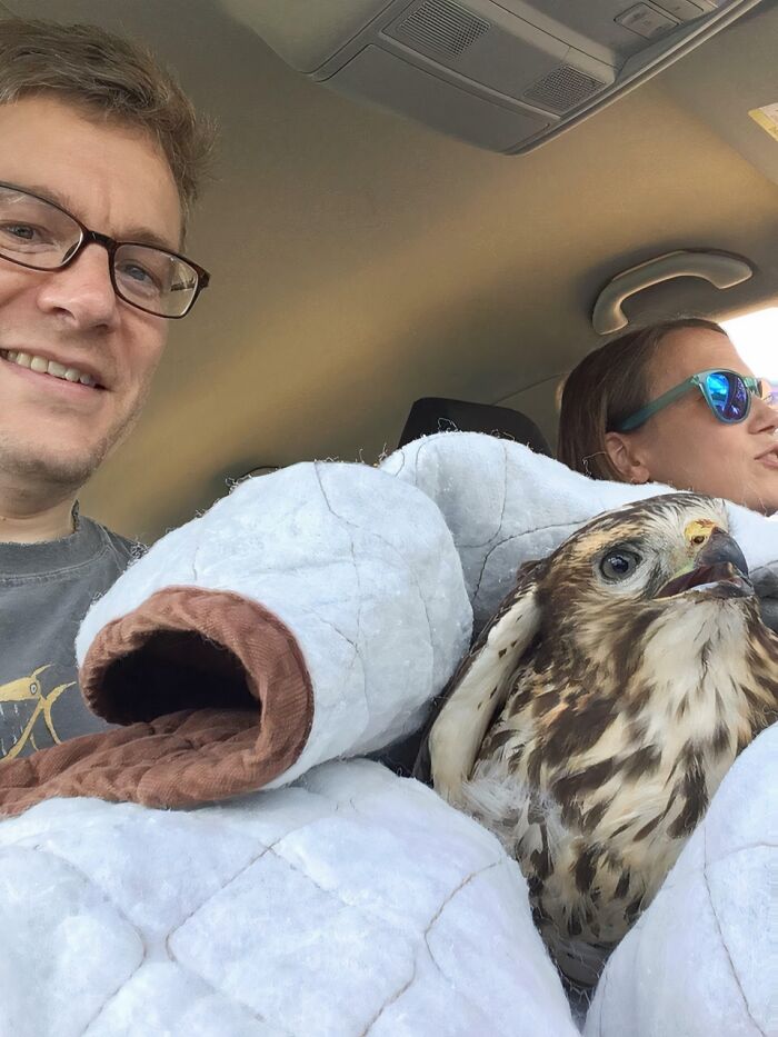 66 People Who Saved Animals And Gave Them A Second Chance At Life