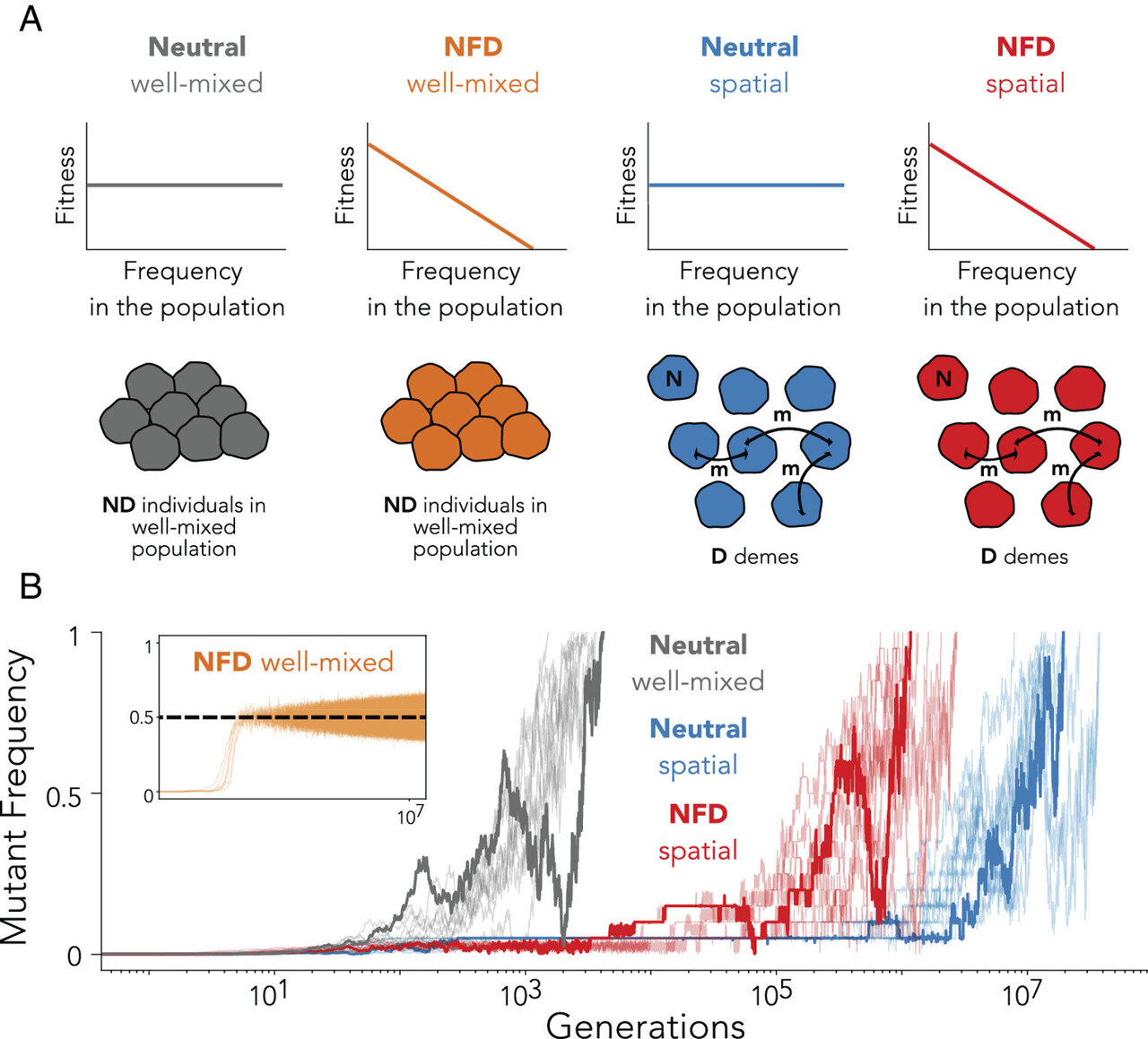 Research challenges long-held ecological belief of how rare species survive