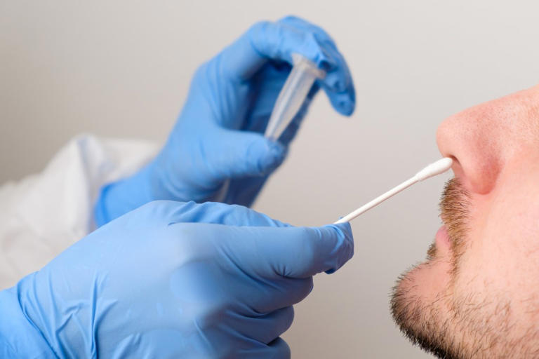 Everything you need to know about the new highly mutated 'Cicada' COVID ...