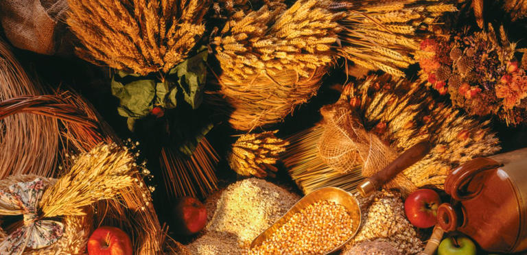 لوصفات ولا أشهى