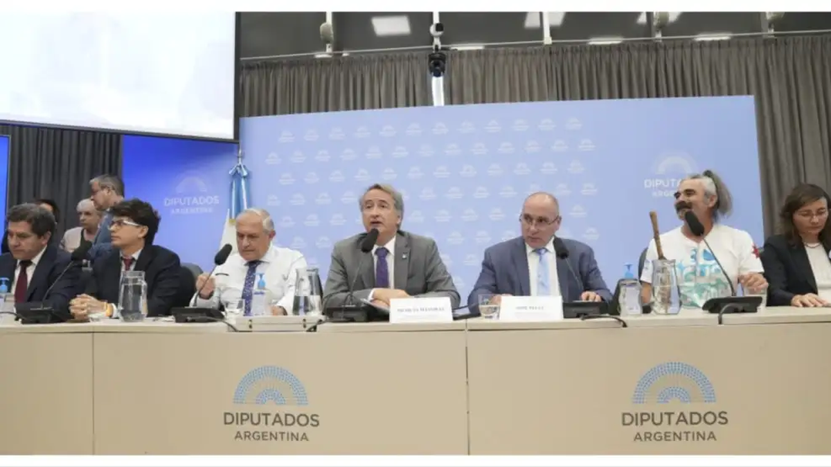 Ley de glaciares: segundo día de la audiencia pública en Diputados con ...