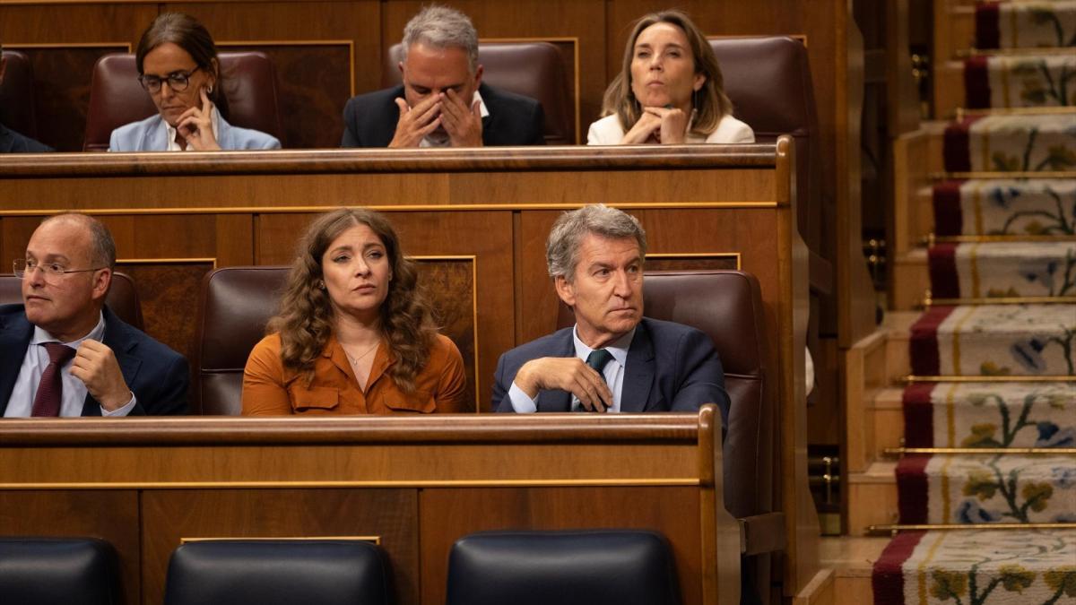 El PP se abstendrá en el decreto anticrisis del Gobierno e insiste en ...