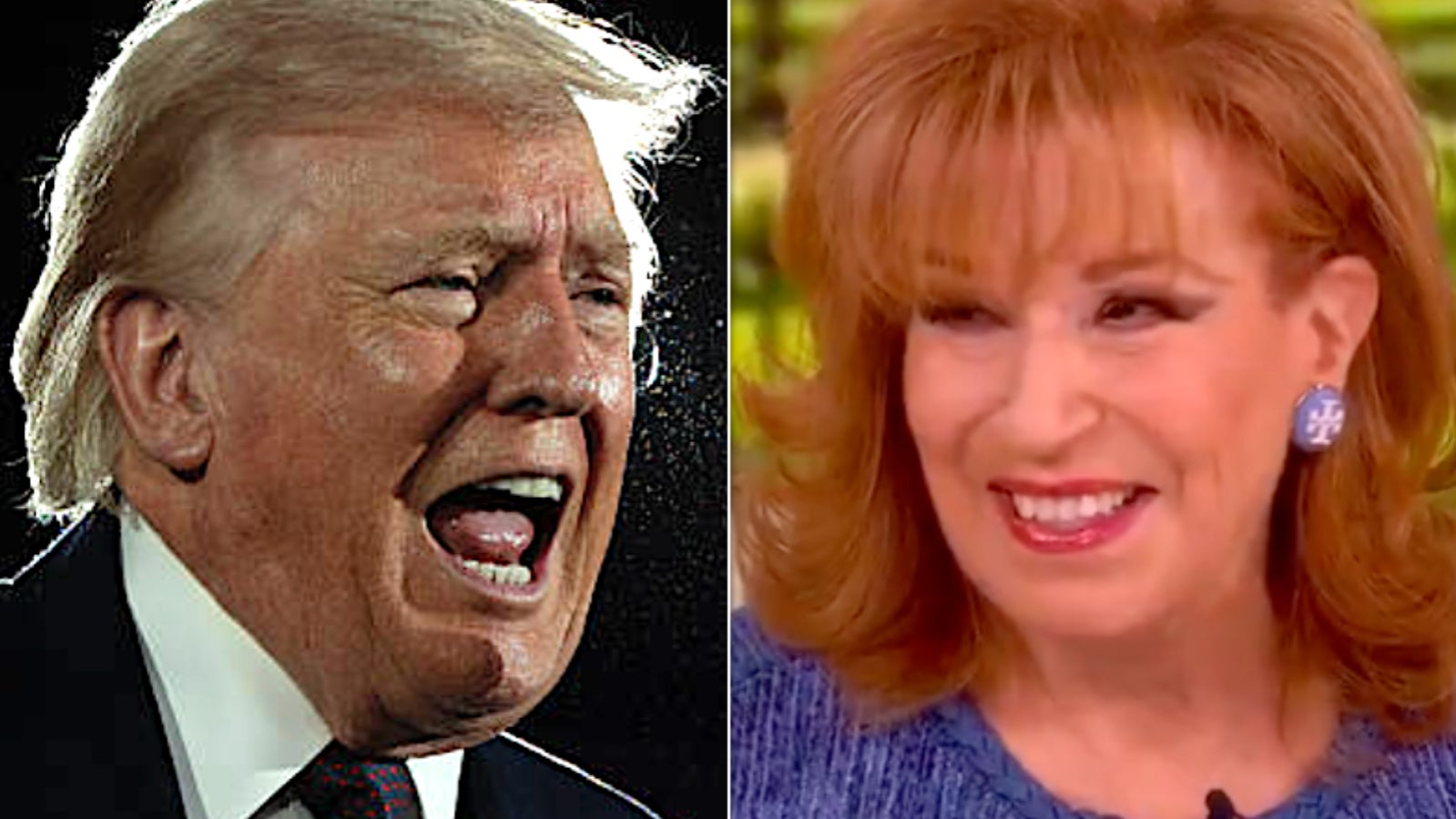 White House slams Joy Behar over Trump joke