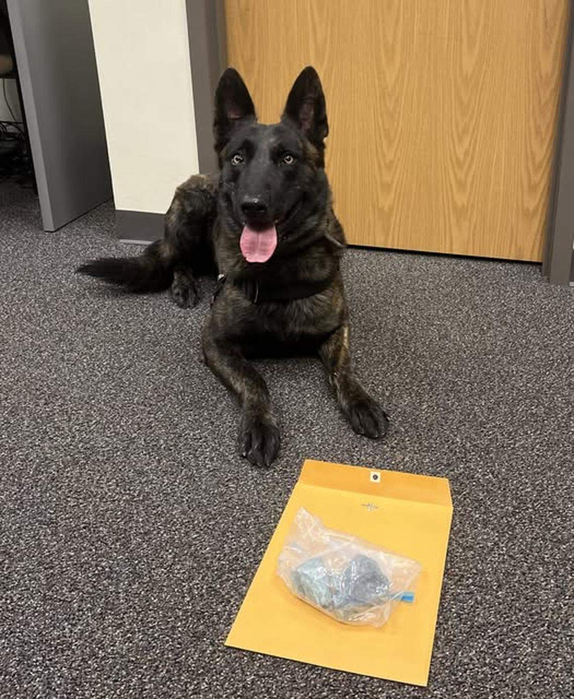 Half a pound of fentanyl seized during traffic stop, South Carolina ...