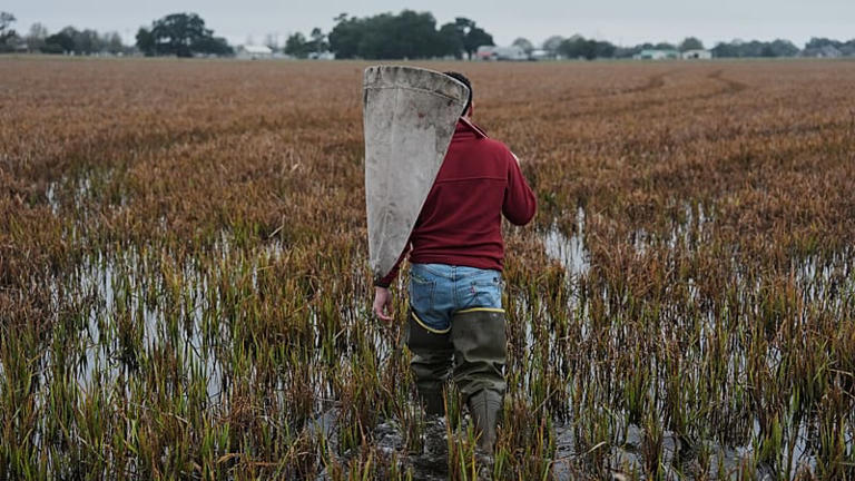 War-driven disruptions push Central Asia to rethink agriculture and ...