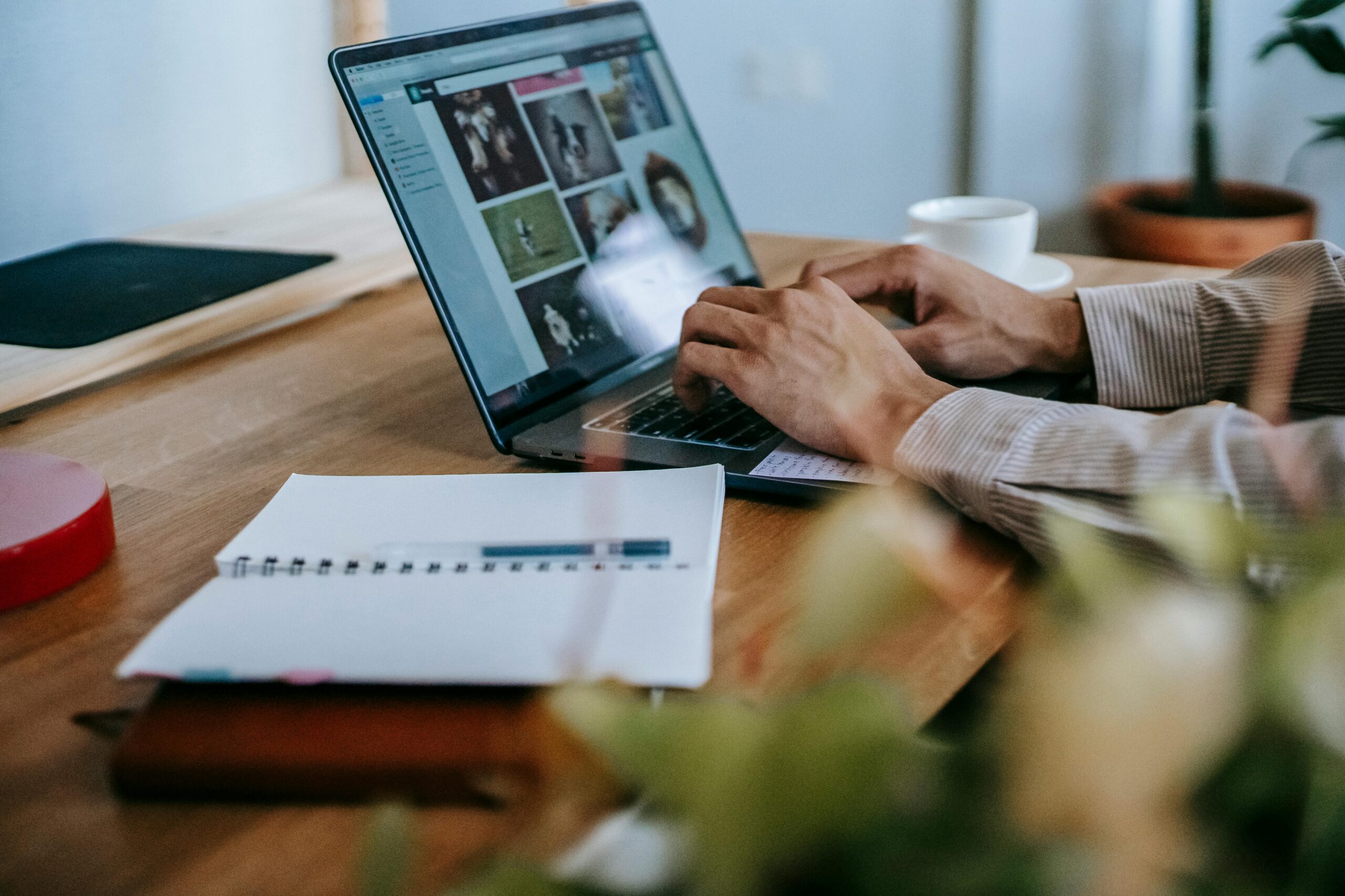 Best website platforms for entrepreneurs in 2026