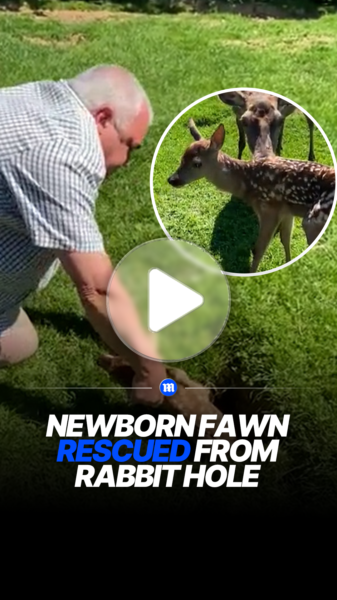 Farmer rescues trapped fawn from deep burrow