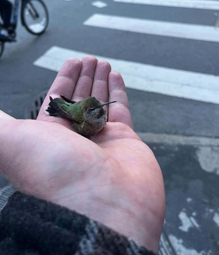 66 People Who Saved Animals And Gave Them A Second Chance At Life