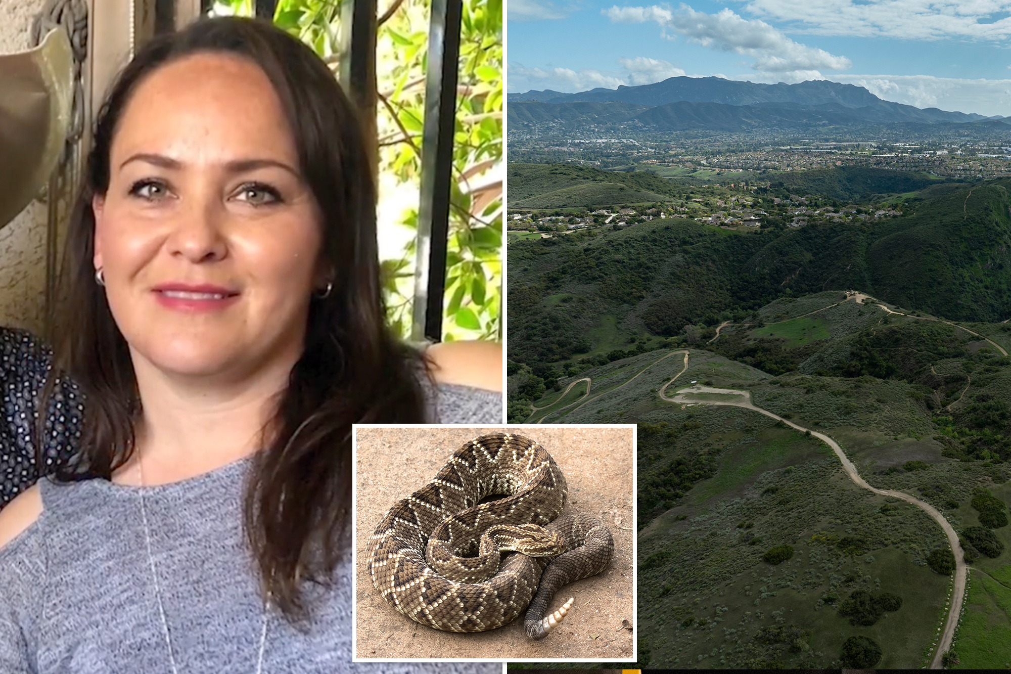 Woman killed by rattlesnake on SoCal trail identified as encounters spike