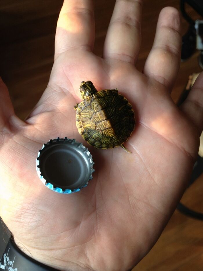 66 People Who Saved Animals And Gave Them A Second Chance At Life
