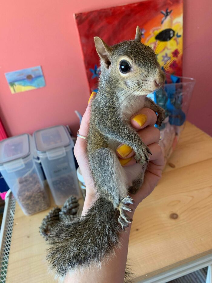 66 People Who Saved Animals And Gave Them A Second Chance At Life