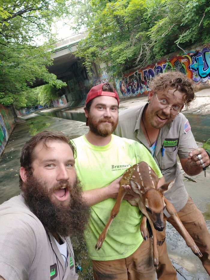 66 People Who Saved Animals And Gave Them A Second Chance At Life