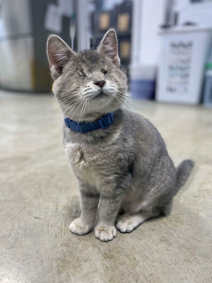 66 People Who Saved Animals And Gave Them A Second Chance At Life