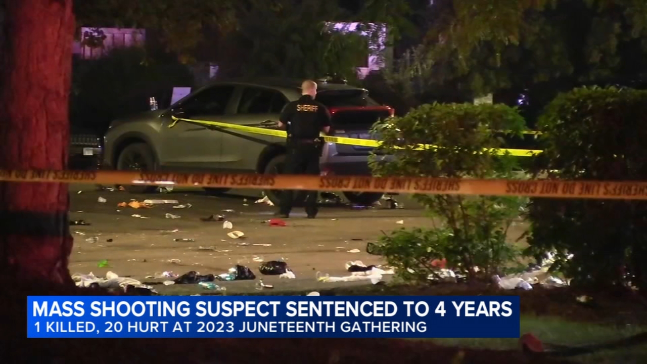 Man sentenced after pleading guilty to gun charge in deadly 2023 DuPage ...