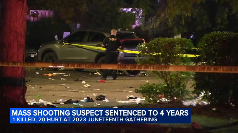 Man sentenced after pleading guilty to gun charge in deadly 2023 DuPage ...