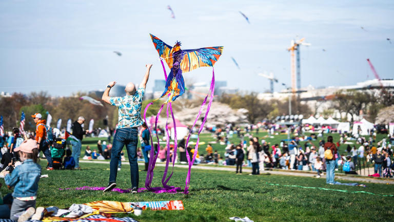 The best DC events this weekend