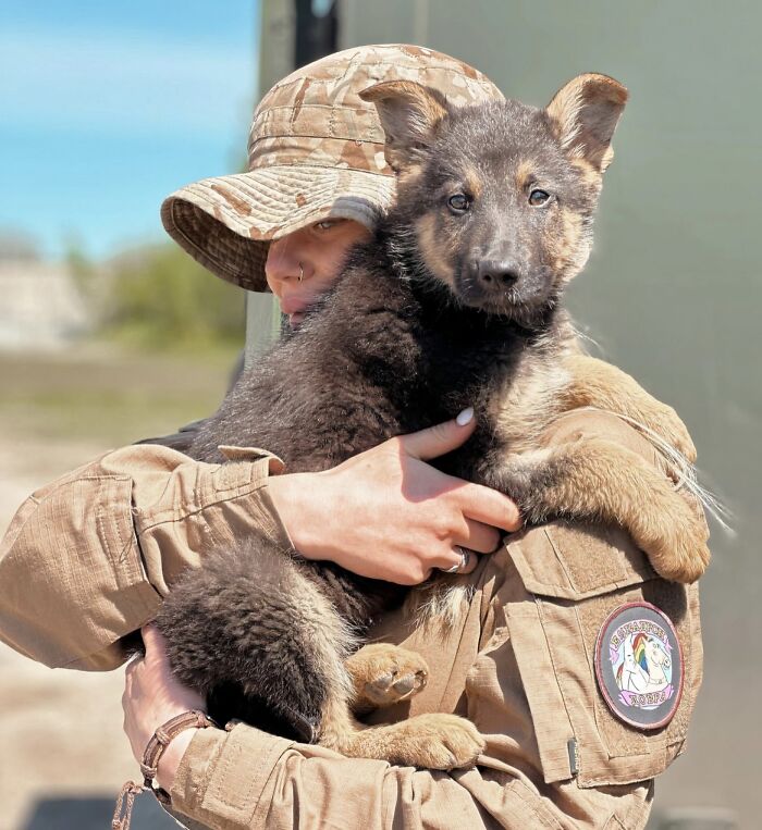 66 People Who Saved Animals And Gave Them A Second Chance At Life