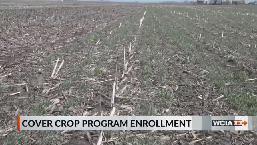 Pre-enrollment one week away for cover crop program in Central Illinois