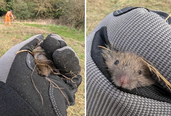 66 People Who Saved Animals And Gave Them A Second Chance At Life