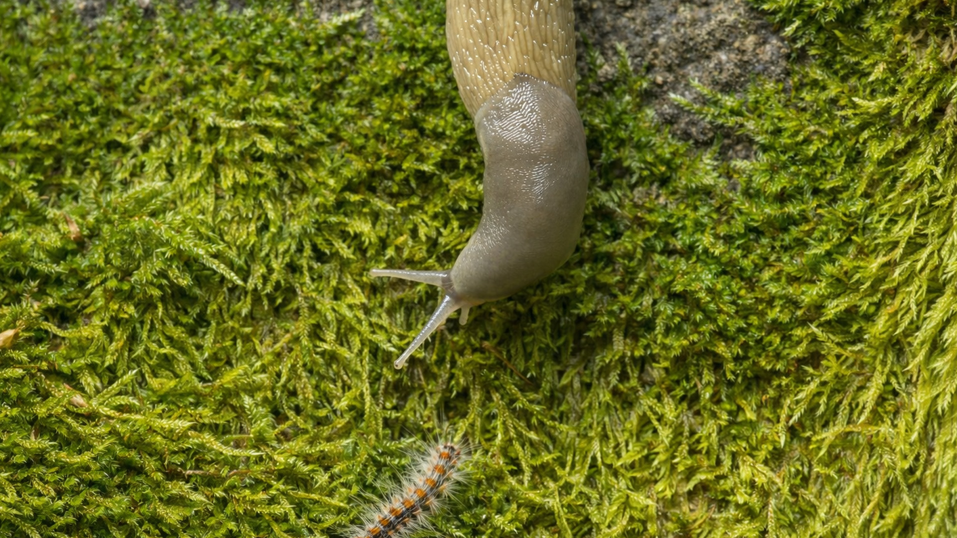 Picture of Wiley Online Library | Scientific research articles, journals, books ...