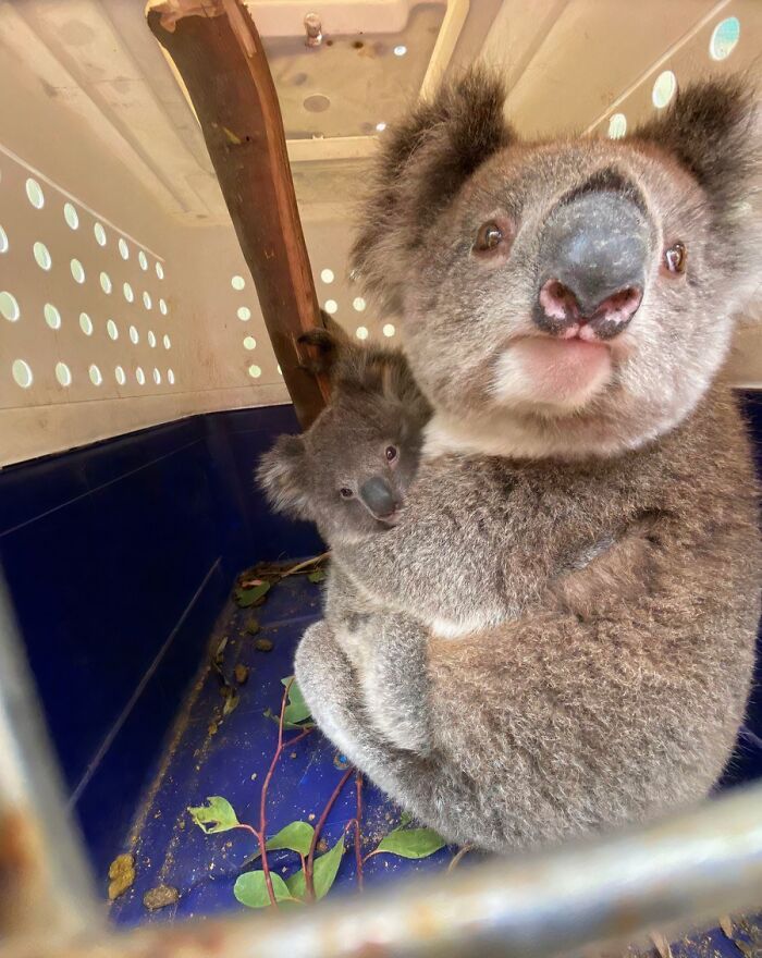 66 People Who Saved Animals And Gave Them A Second Chance At Life