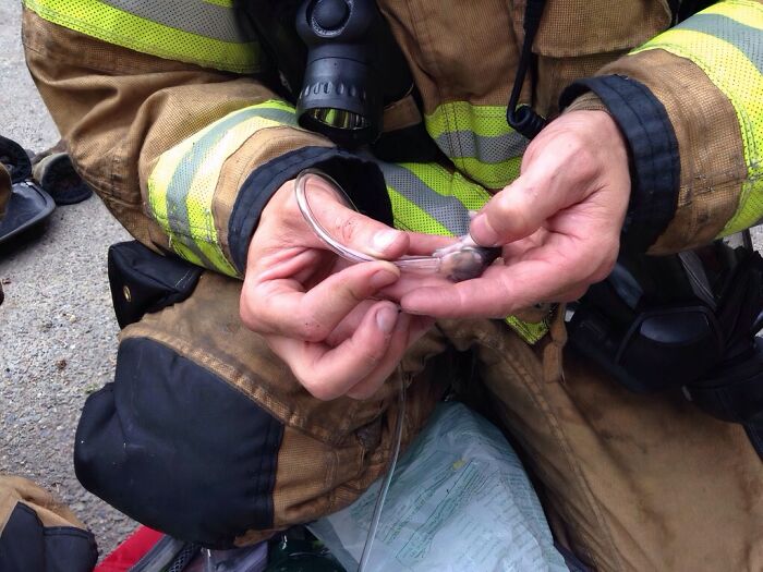 66 People Who Saved Animals And Gave Them A Second Chance At Life