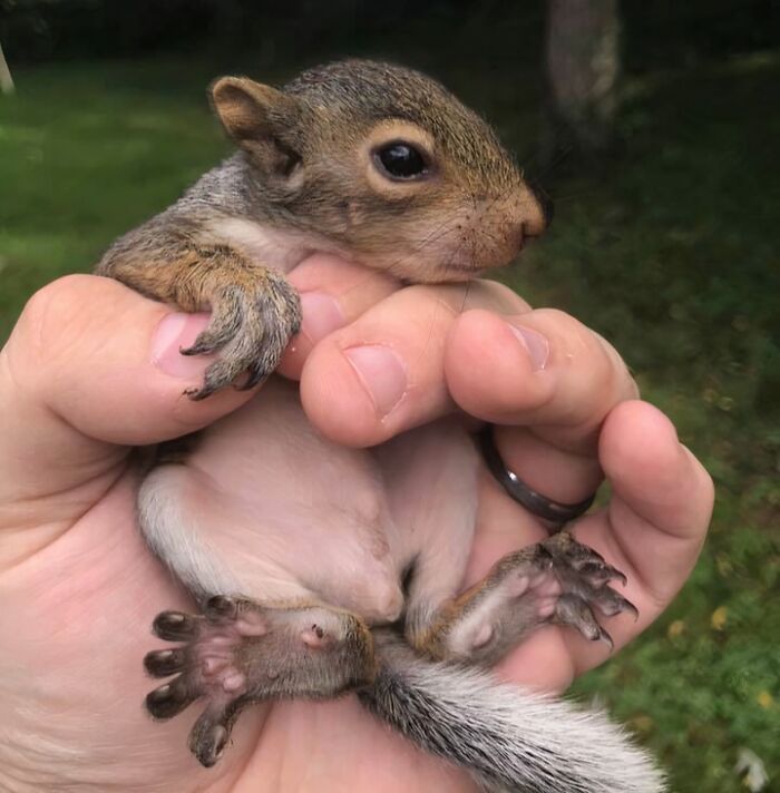 66 People Who Saved Animals And Gave Them A Second Chance At Life