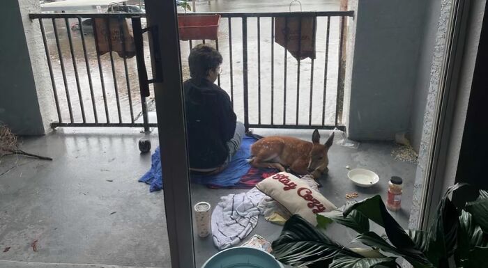 66 People Who Saved Animals And Gave Them A Second Chance At Life