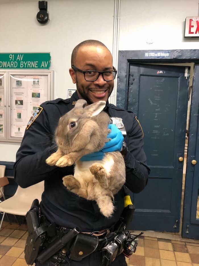 66 People Who Saved Animals And Gave Them A Second Chance At Life