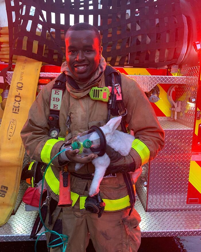 66 People Who Saved Animals And Gave Them A Second Chance At Life