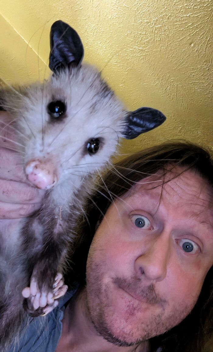 66 People Who Saved Animals And Gave Them A Second Chance At Life