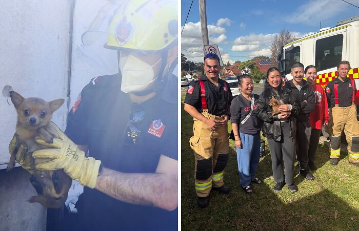 66 People Who Saved Animals And Gave Them A Second Chance At Life