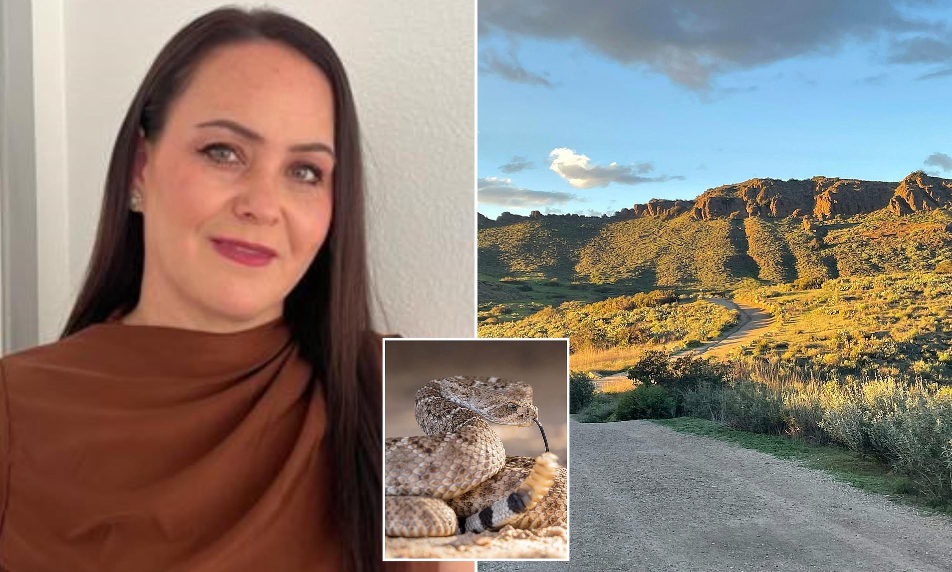 Warning after mom, 46, becomes second Californian killed by rattlesnake ...