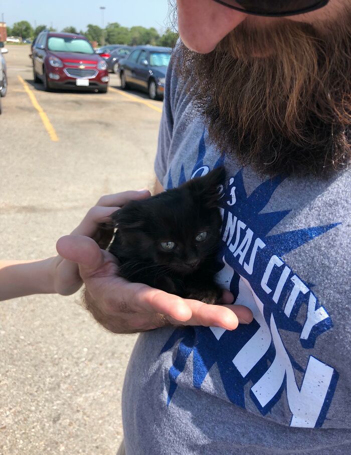 66 People Who Saved Animals And Gave Them A Second Chance At Life