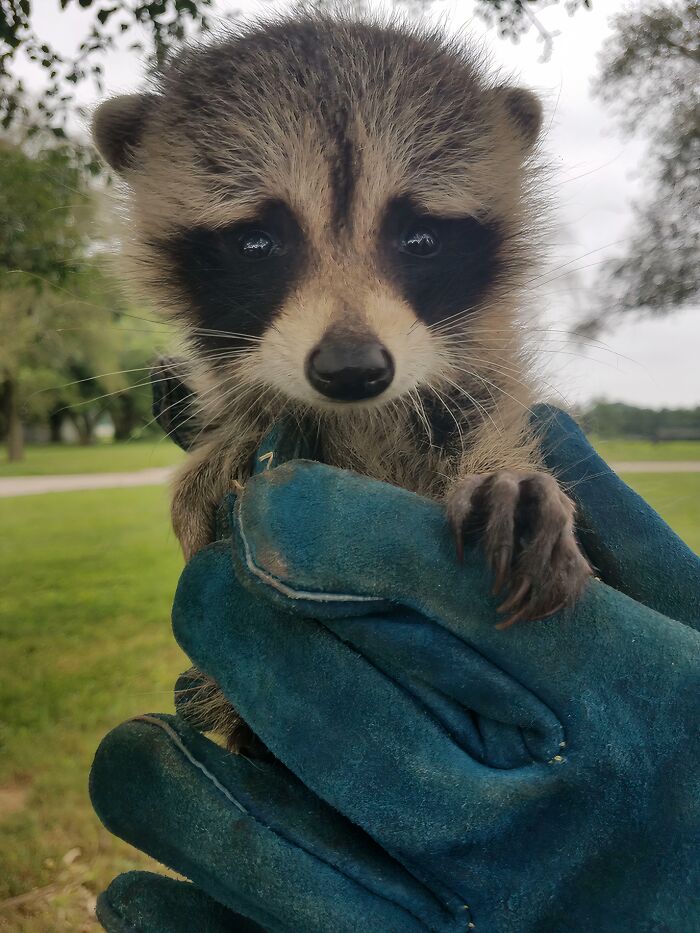 66 People Who Saved Animals And Gave Them A Second Chance At Life