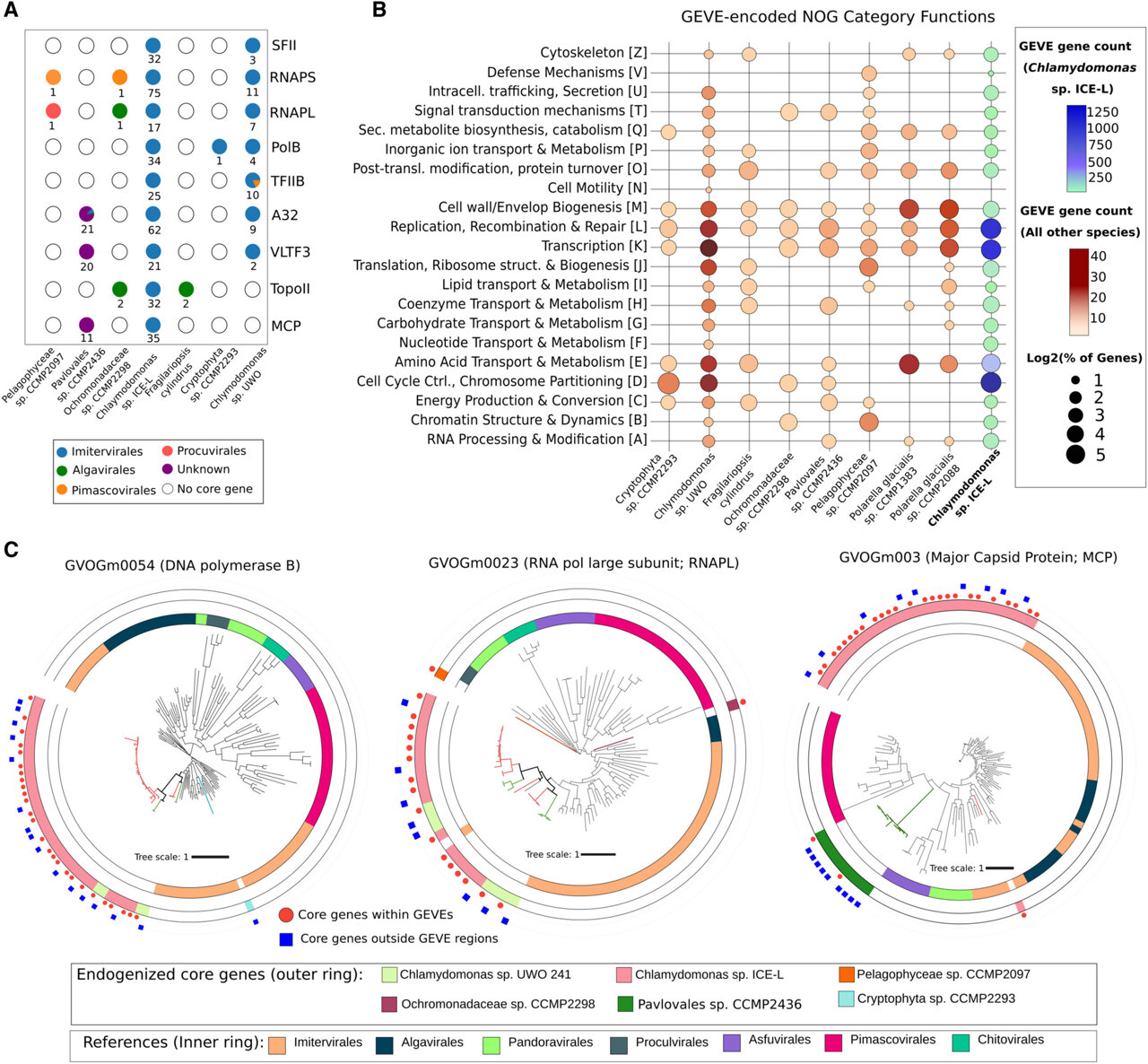 Giant virus DNA may help polar algae survive harsh environments