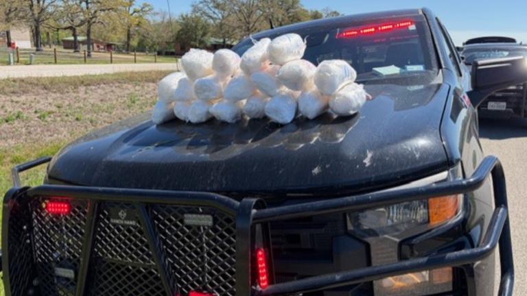 Over 40 pounds of meth seized during La Grange traffic stop: sheriff's ...