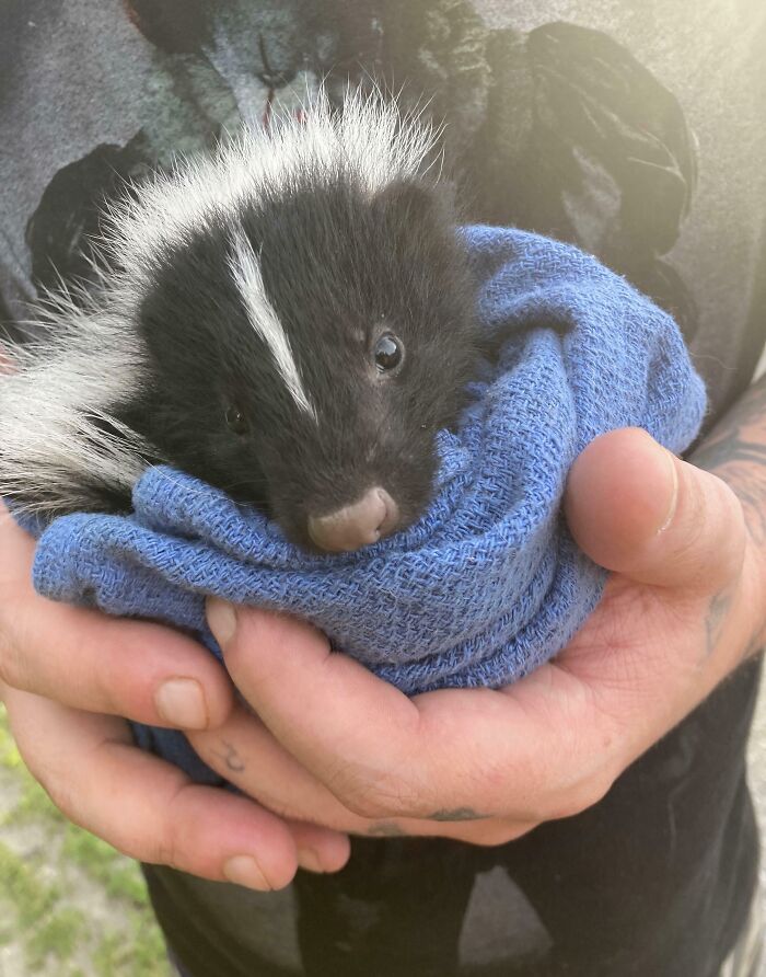 66 People Who Saved Animals And Gave Them A Second Chance At Life