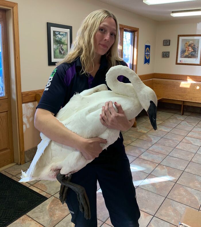 66 People Who Saved Animals And Gave Them A Second Chance At Life