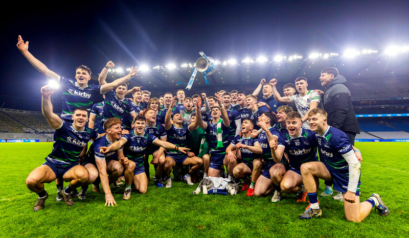 University of Limerick claim seven spots on Fitzgibbon Cup team of the year