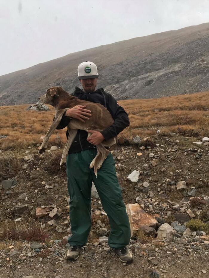 66 People Who Saved Animals And Gave Them A Second Chance At Life