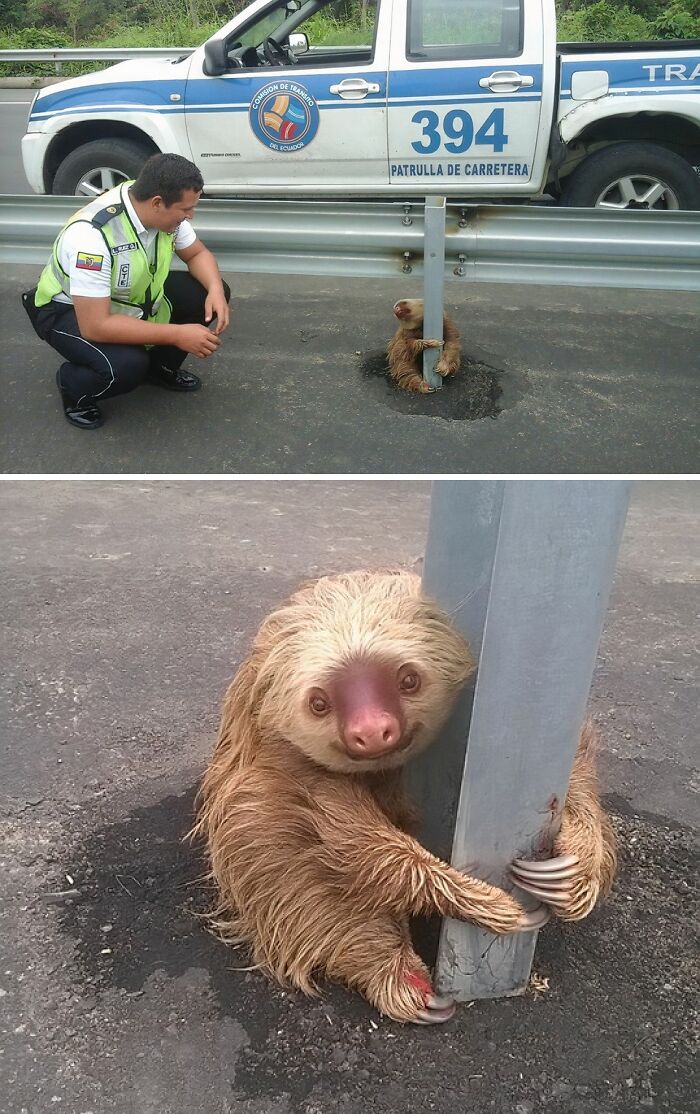 66 People Who Saved Animals And Gave Them A Second Chance At Life
