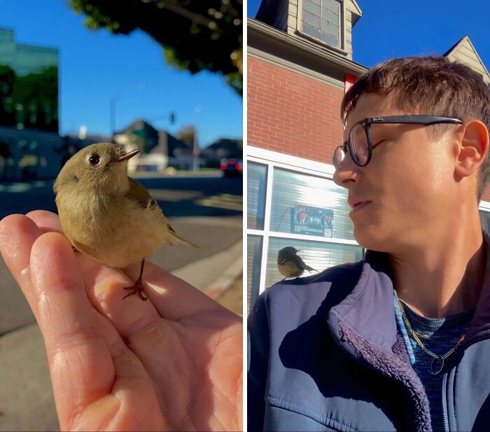 66 People Who Saved Animals And Gave Them A Second Chance At Life