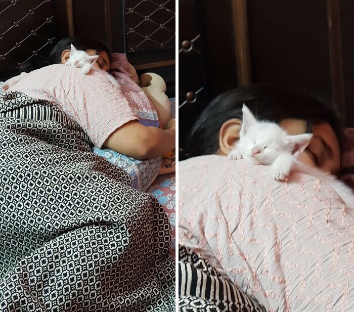 66 People Who Saved Animals And Gave Them A Second Chance At Life