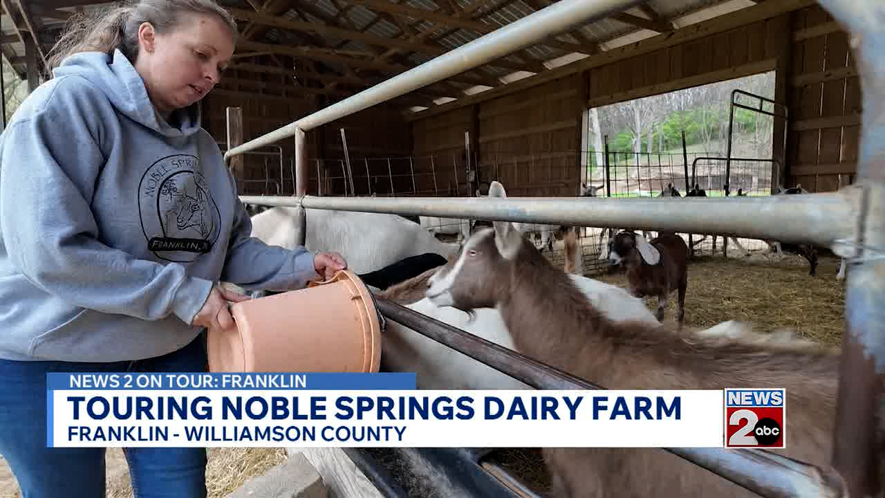 Touring Noble Springs Dairy Farm in Franklin, TN