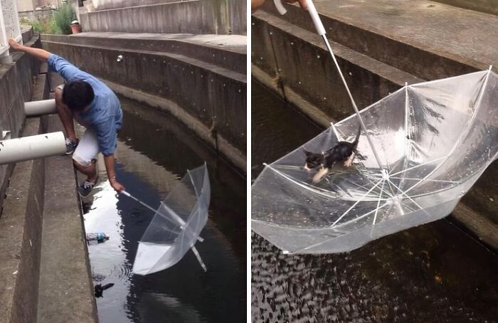 66 People Who Saved Animals And Gave Them A Second Chance At Life