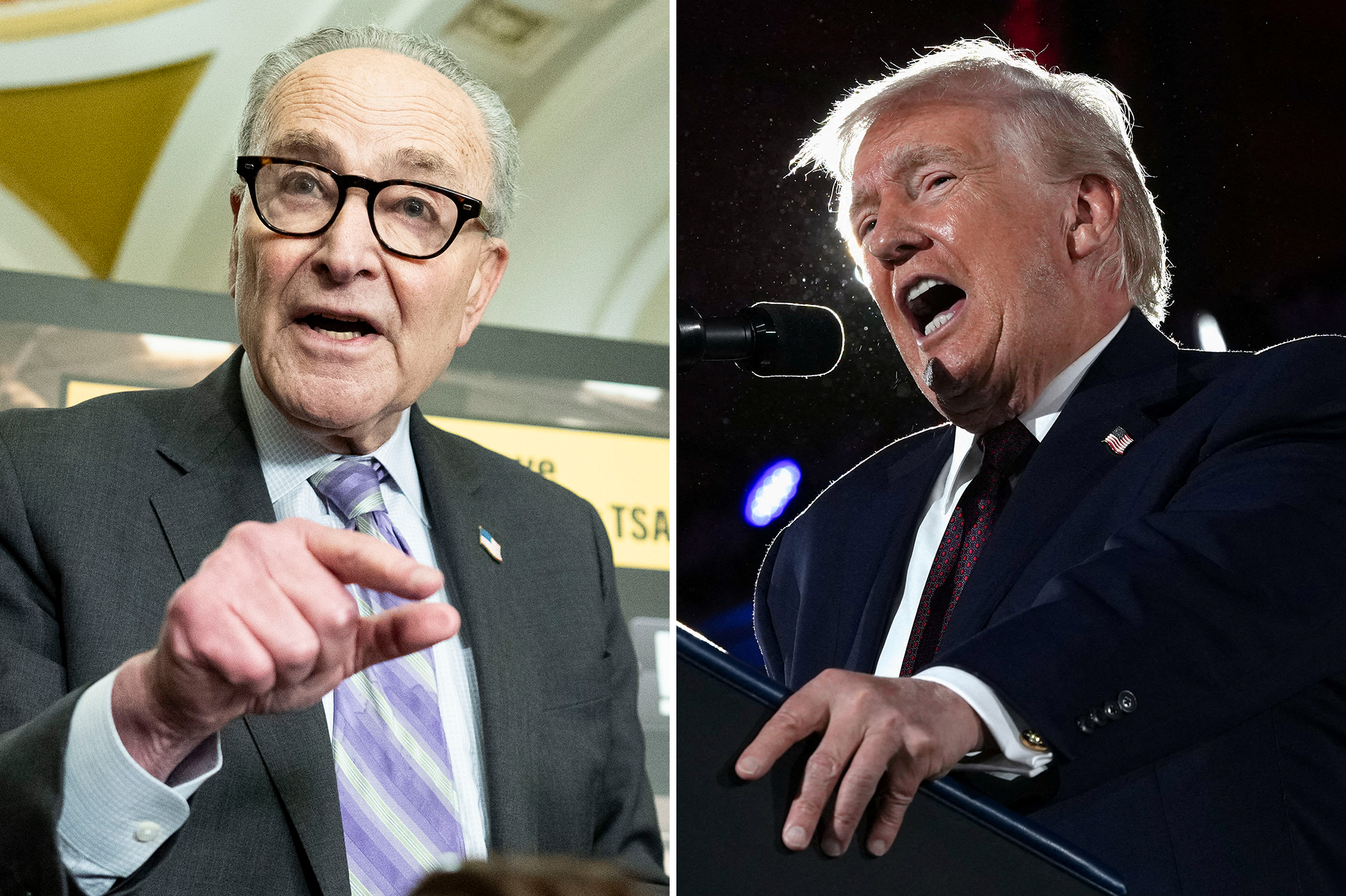 Trump predicts 'desperate' Schumer will cave in DHS shutdown fight ...