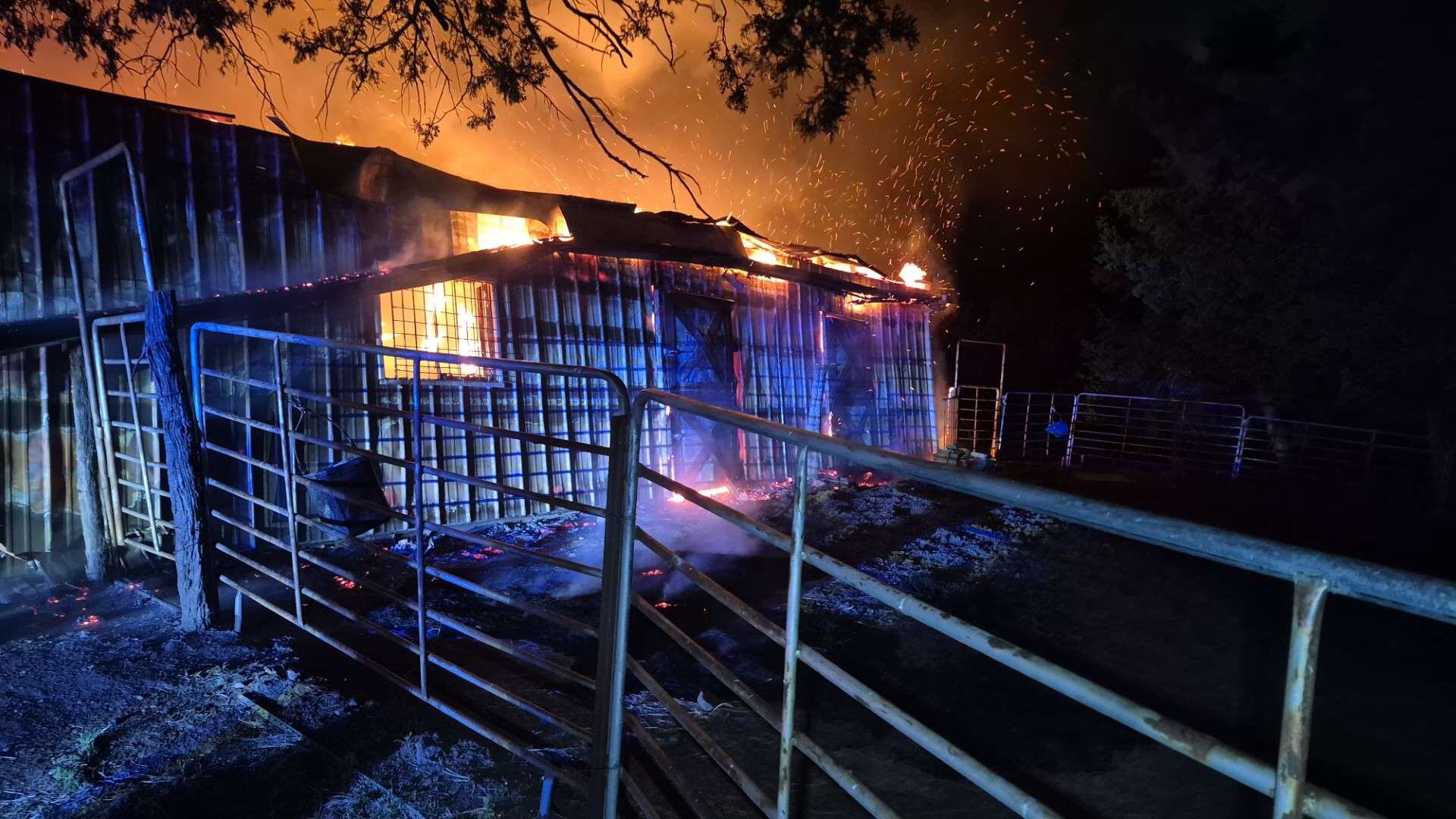 5 show horses, 4 dogs killed in Saline County barn fire