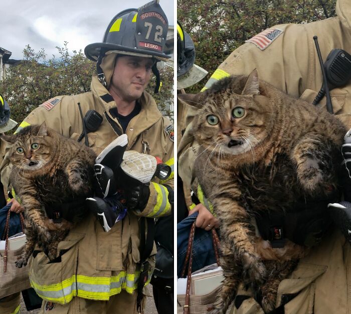 66 People Who Saved Animals And Gave Them A Second Chance At Life