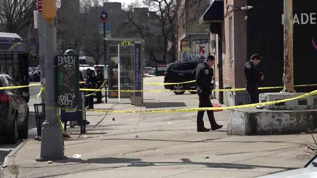 Man shot outside Woodlawn, Bronx subway station, police say